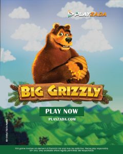 big grizzey - Playzada