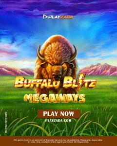 buffalo blitz - Playzada